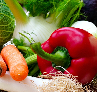 A colorful assortment of freshly harvested vegetables including carrots, red pepper, and fennel from a garden bed.