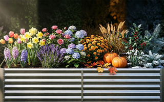 A vibrant and diverse garden display featuring an assortment of colorful flowers, plants, and seasonal decor in raised planting beds.