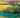 Colorful raised garden beds filled with blooming flowers arranged outdoors on grass.