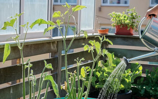 Landguard raised garden beds corrugated iron stories from real gardeners
