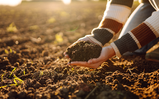 How to Formulate Soil Mix and Fertilization Plans for Raised Garden Beds