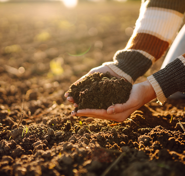 How to Formulate Soil Mix and Fertilization Plans for Raised Garden Beds