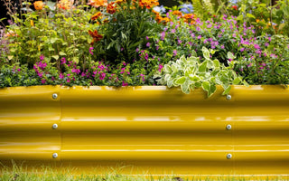 The Art of Pruning in Plant Care: Shaping the Perfect Plant - Land Guard