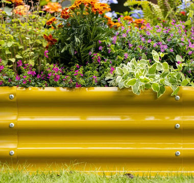 The Art of Pruning in Plant Care: Shaping the Perfect Plant - Land Guard