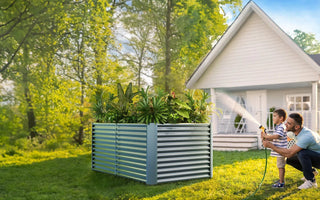 A Beginner's Guide to Growing Tomatoes in Your Garden Bed - Land Guard