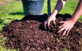 How to Maximize the Lifespan of Your Galvanized Steel Raised Garden Bed