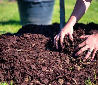 Hands spreading mulch over a garden bed on a sunny day.