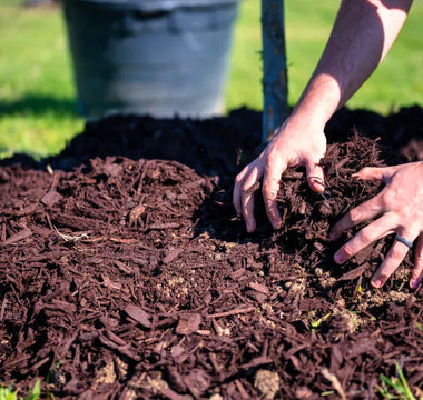 Hands spreading mulch over a garden bed on a sunny day.