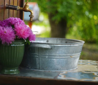 Galvanized Raised Beds Pros and Cons Every Gardener Should Know