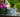 A galvanized tub sits on a tiled counter beneath an outdoor spigot, next to a green vase filled with pink flowers.