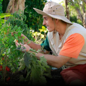 Gardening for Beginners: 4 Essential Tips to Get Started - Land Guard