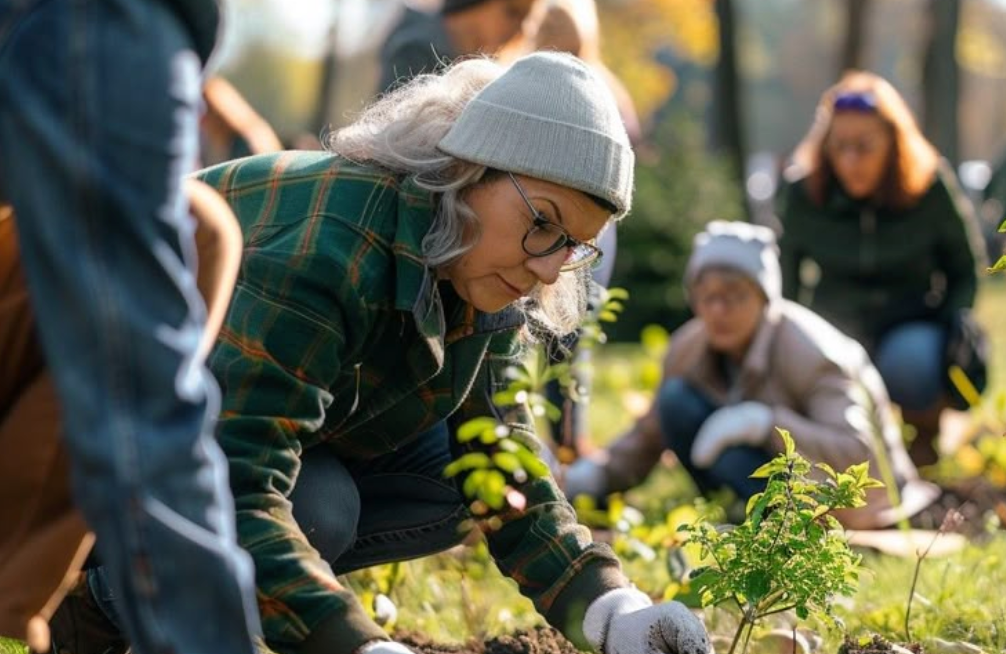 How to Start Your First Vegetable Garden: A Complete Step-by-Step Guide