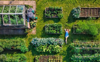 How to Design and Plan Your Garden Bed: A Complete Guide for Beginners - Land Guard