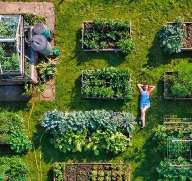 How to Design and Plan Your Garden Bed: A Complete Guide for Beginners - Land Guard
