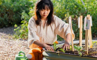 Best Plants for Beginner Garden Beds: Easy-to-Grow Options for Your Garden - Land Guard