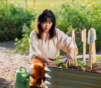 Best Plants for Beginner Garden Beds: Easy-to-Grow Options for Your Garden - Land Guard