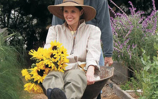 Perennial Flower Planting Guide: Low-Maintenance Choices That Bloom Year After Year - Land Guard