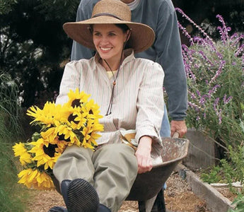 Perennial Flower Planting Guide: Low-Maintenance Choices That Bloom Year After Year - Land Guard