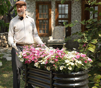 Home Garden Design Inspiration: A Complete Guide to Color Schemes, Functional Zones & Plant Selection