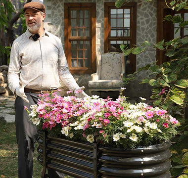 Home Garden Design Inspiration: A Complete Guide to Color Schemes, Functional Zones & Plant Selection - Land Guard