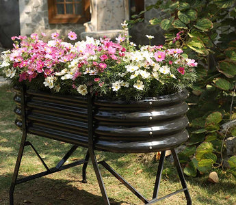 20 Essential Gardening Tips for Beginners: Expert-Backed Secrets to Thriving Plants
