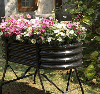 20 Essential Gardening Tips for Beginners: Expert-Backed Secrets to Thriving Plants