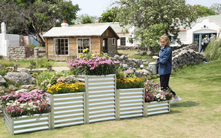 Seasonal Plant Care Guide: Landguard’s Pro Tips for Year-Round Garden Success