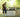 Organic Pest Control for Your Garden: Landguard’s Safe & Effective Solutions - Land Guard
