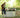 Organic Pest Control for Your Garden: Landguard’s Safe & Effective Solutions - Land Guard