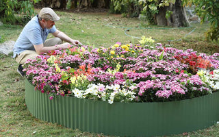 Low-Maintenance Plants for Busy Gardeners: Landguard’s Top Picks