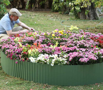 Low-Maintenance Plants for Busy Gardeners: Landguard’s Top Picks