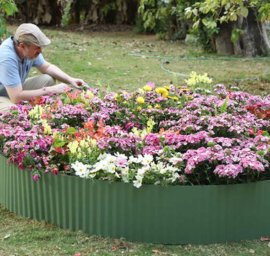 Low-Maintenance Plants for Busy Gardeners: Landguard’s Top Picks