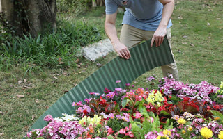 How to Design a Stunning Flower Bed: Expert Tips for Year-Round Color