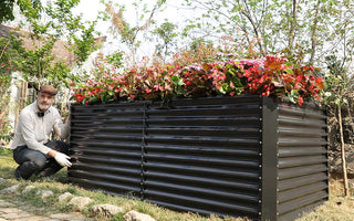 15 Backyard & Small Space Garden Design Ideas: A Complete Visual Guide