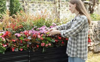 Low-Maintenance Garden Design: 7 Steps to Create a Beautiful & Easy-Care Outdoor Space - Land Guard