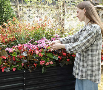 Low-Maintenance Garden Design: 7 Steps to Create a Beautiful & Easy-Care Outdoor Space