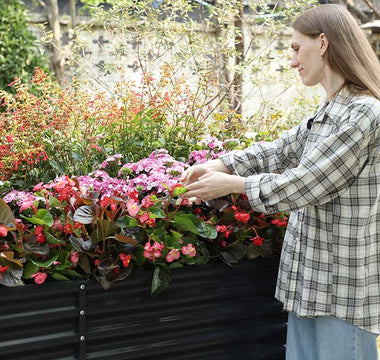 Low-Maintenance Garden Design: 7 Steps to Create a Beautiful & Easy-Care Outdoor Space