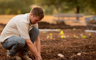 How to Keep Deer from Eating Your Plants