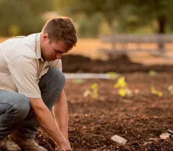 How to Keep Deer from Eating Your Plants