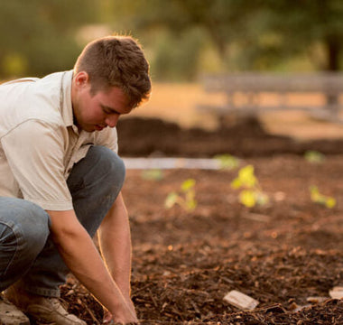 How to Keep Deer from Eating Your Plants