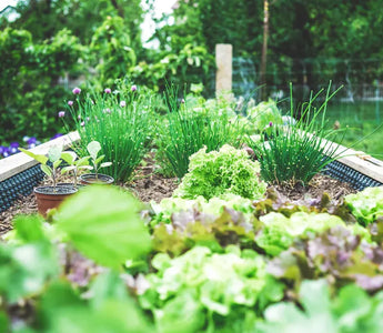 Are Landguard Galvanized Steel Raised Garden Beds Right for You
