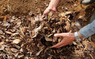 Summer Heat, Richer Compost: Turn Up Your Garden Gold in Raised Beds - Land Guard