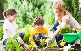 Create a Kid-Friendly Backyard with Raised Garden Beds - Land Guard