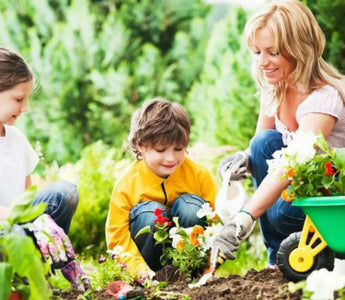 Create a Kid-Friendly Backyard with Raised Garden Beds - Land Guard