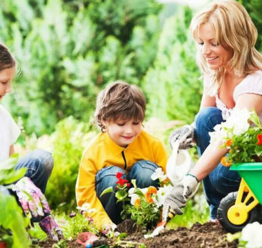Create a Kid-Friendly Backyard with Raised Garden Beds - Land Guard
