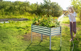 Gardener watering a raised garden bed with legs outdoors