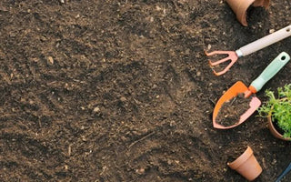 How to Refresh Soil in Raised Beds Between Growing Seasons - Land Guard