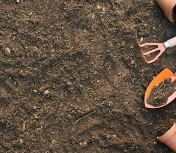 How to Refresh Soil in Raised Beds Between Growing Seasons - Land Guard