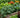 How to Achieve High-Density Planting in Your Garden Bed - Land Guard