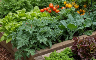How to Achieve High-Density Planting in Your Garden Bed - Land Guard
